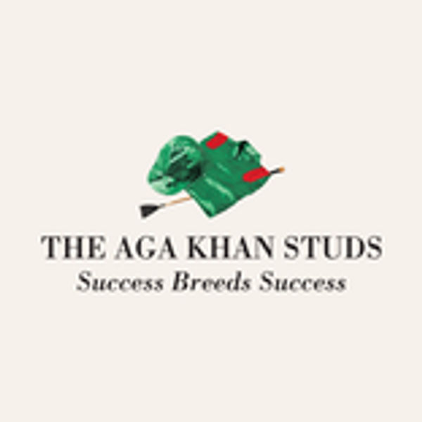 Aga Khan Logo