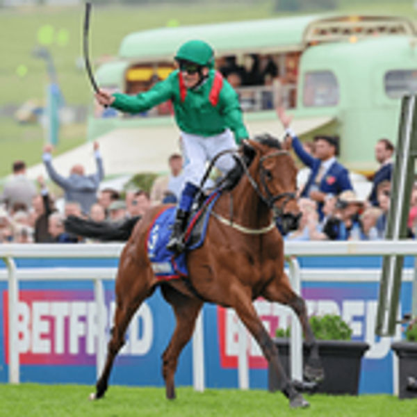 Aga Khan Horse and Jockey