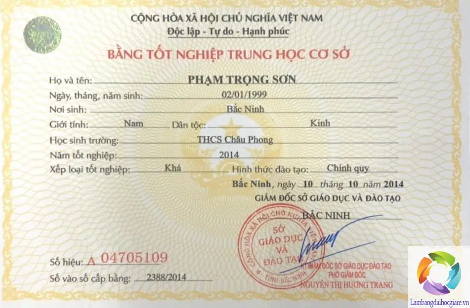 Bằng cấp 2 có xin được việc không? Những lựa chọn phù hợp