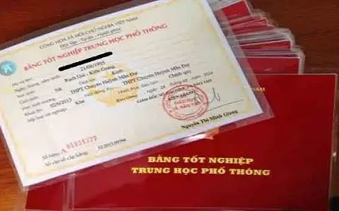 Bằng Cấp 3 Giả - Có Thể Thi Đại Học, Du Học Hay Không?