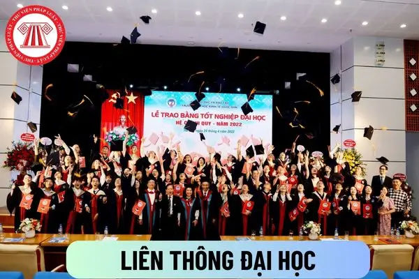 Bằng Đại Học Liên Thông: Những Điều Cần Biết