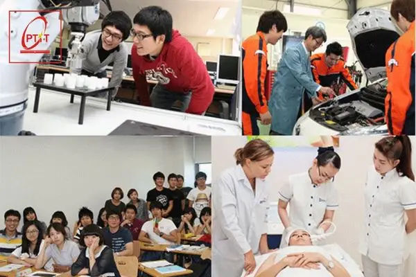 Bằng Đại Học Liên Thông: Những Điều Cần Biết