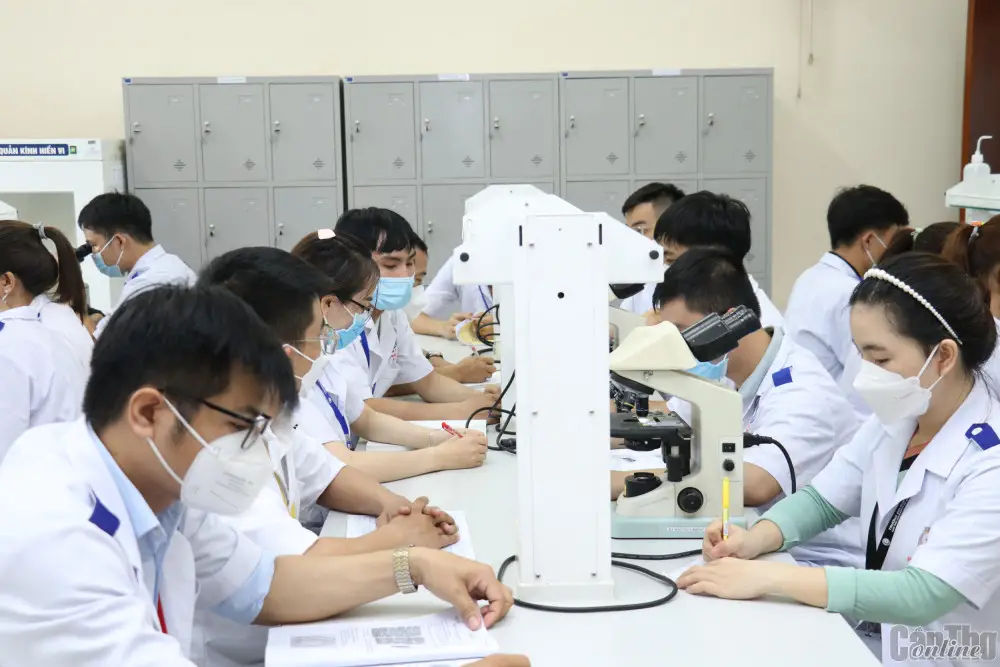 Bằng Đại Học Liên Thông: Những Điều Cần Biết