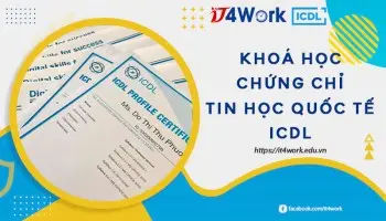 Các loại chứng chỉ mos