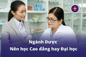 Các Ngành Cao Đẳng Hấp Dẫn Và Cơ Hội Nghề Nghiệp