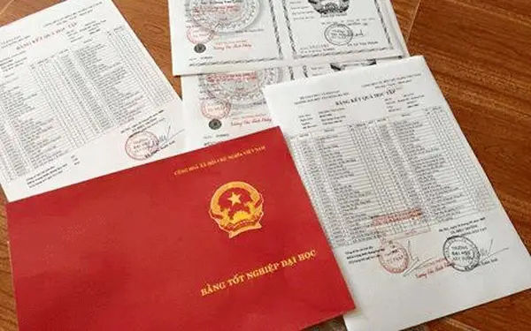 Cách kiểm tra bằng đại học thật giả