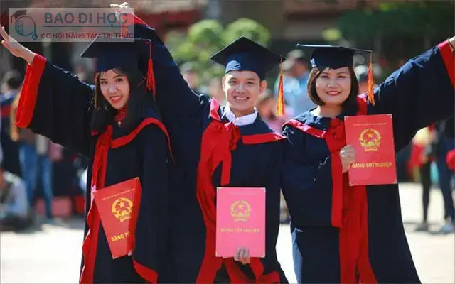Chính Quy Là Gì Trong Cuộc Sống Hằng Ngày