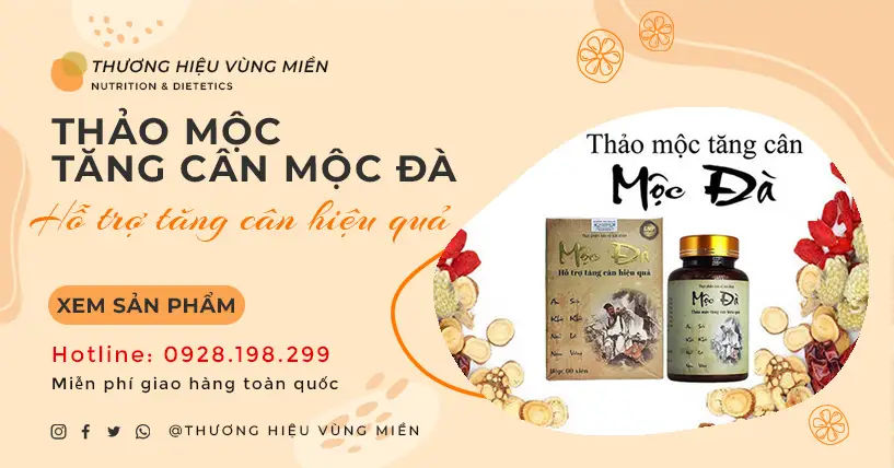 Chứng chỉ tin học văn phòng là gì