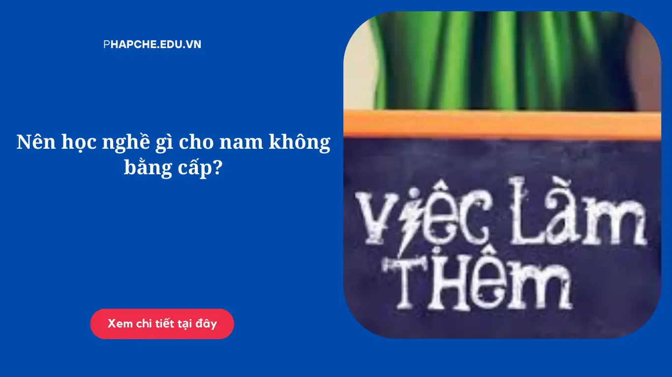 Có Bằng Cấp 2 Nên Học Nghề Gì? Mở Rộng Con Đường Sự Nghiệp Tương Lai