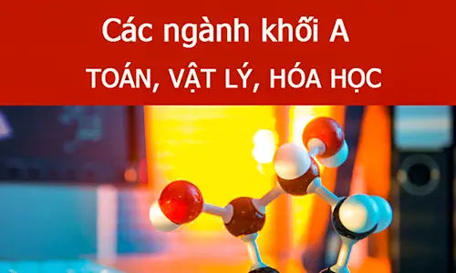 Đại cương về Chương trình đào tạo D09