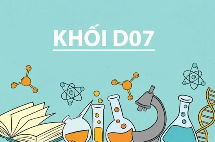 Đại cương về Chương trình đào tạo D09