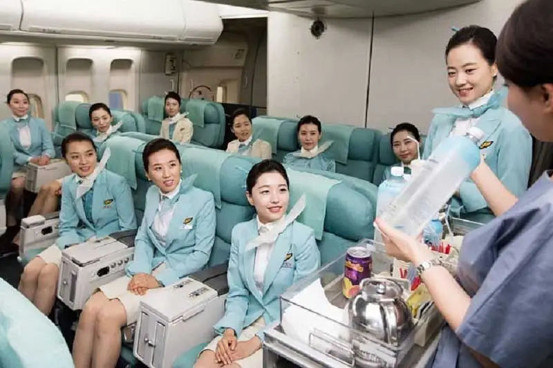 Giải mã yêu cầu bằng cấp của nghề tiếp viên hàng không