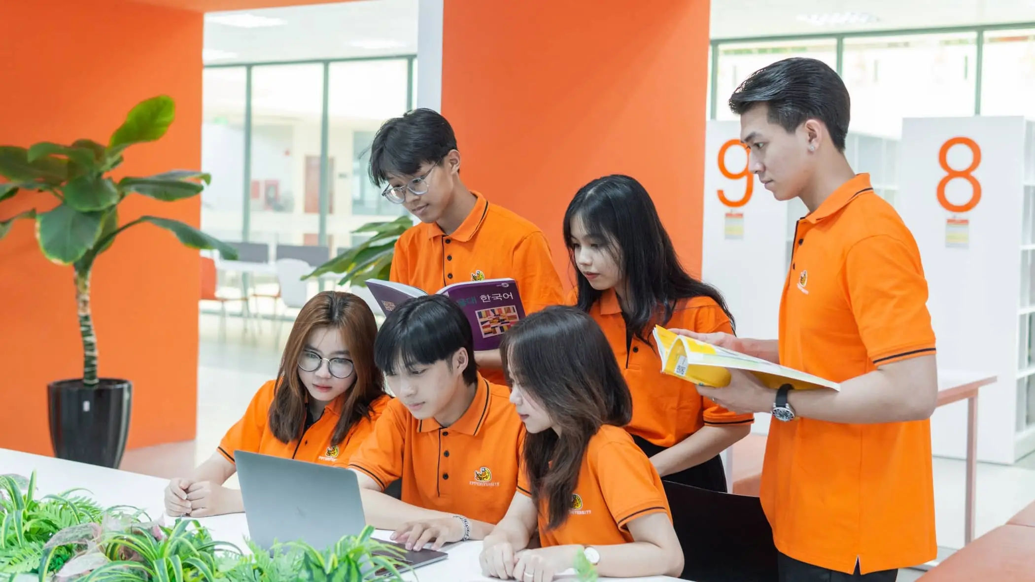 Học 2 Bằng Đại Học Cùng Lúc Tại Việt Nam - Hướng Dẫn Chi Tiết Lưu Ý