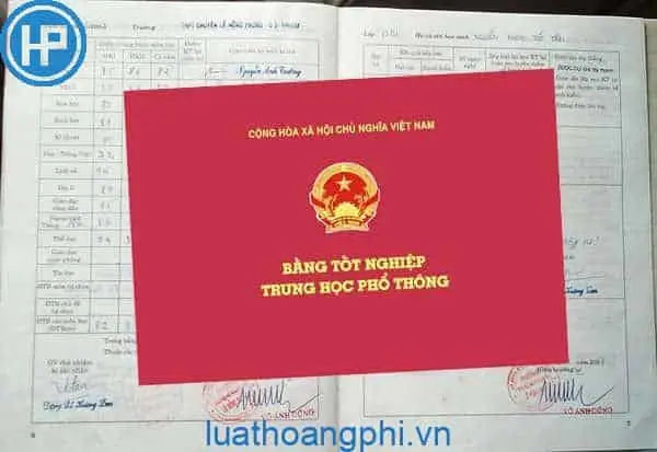 Học bạ cấp 3 bị mất phải làm sao? Những vấn đề cần lưu ý