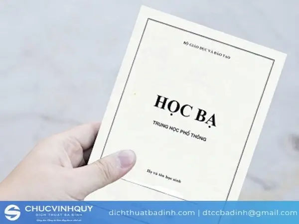 Học bạ cấp 3 bị mất phải làm sao? Những vấn đề cần lưu ý
