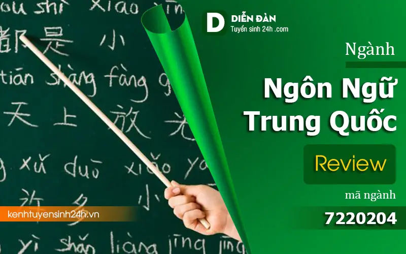 Học Đại Học Ngôn Ngữ Trung Quốc Từ Xa: Con Đường Mở Rộng Cơ Hội