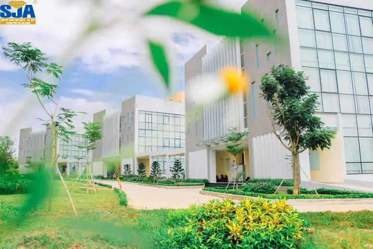 Học hết lớp 9 nên học nghề gì