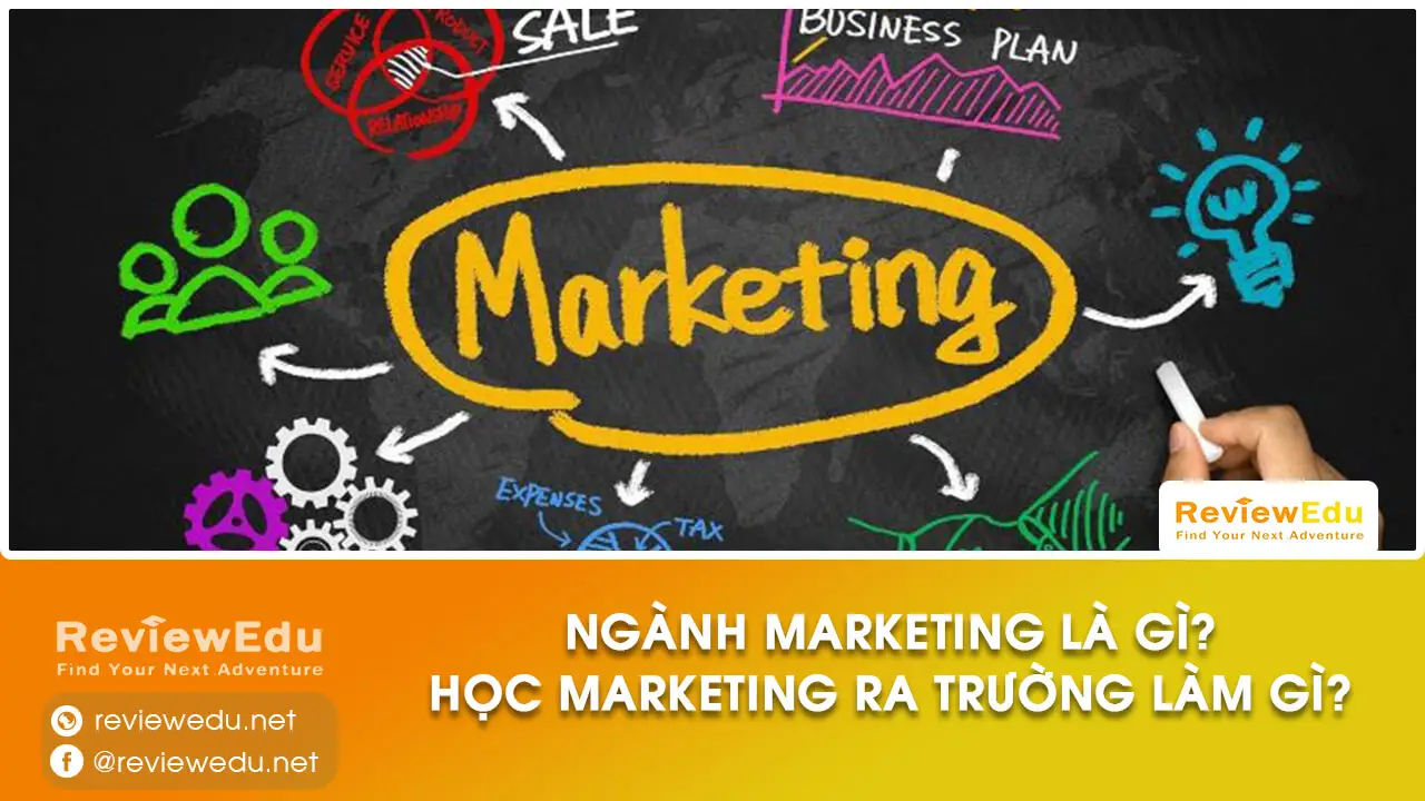 Học Ngành Marketing Ra Trường Làm Gì
