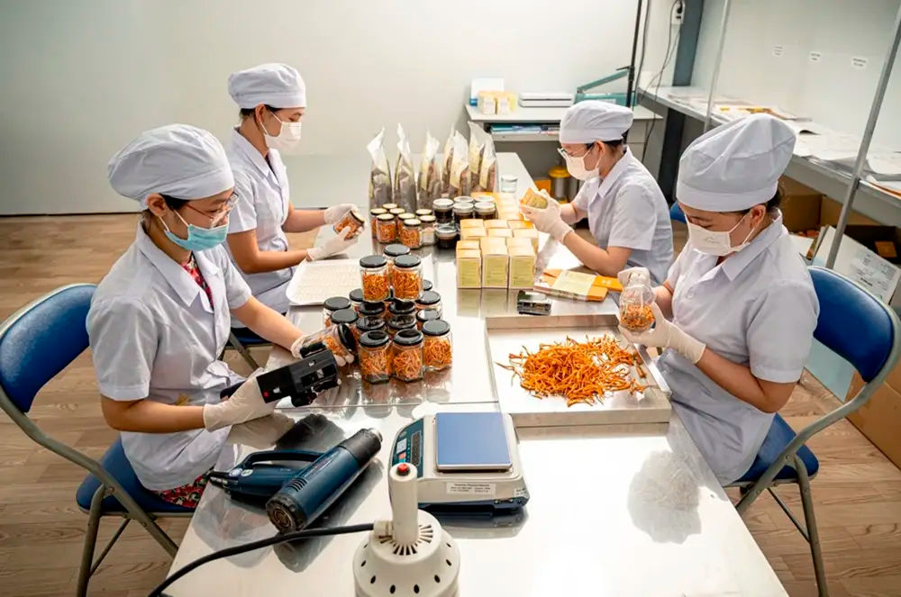 Học Nghề Đầu Bếp Có Cần Bằng Cấp Không? Làm Bằng ORG