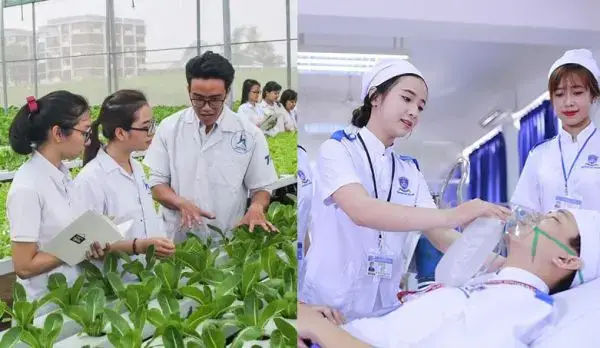 Học Y khoa Nguyễn Tất Thành: Có nên hay không?