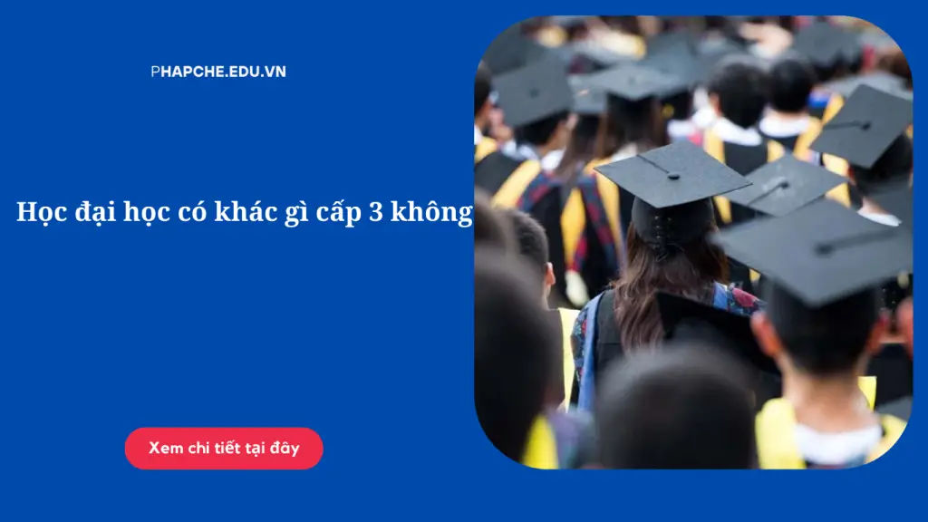 Khác Biệt Cơ Bản Giữa Giáo Dục Đại Học Và Trung Học Phổ Thông