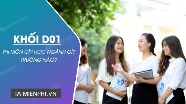 Khám Phá Các Ngành Học Khối D1