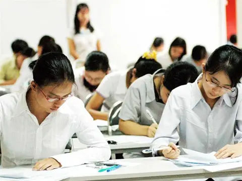 Khám Phá Các Ngành Học Khối D1