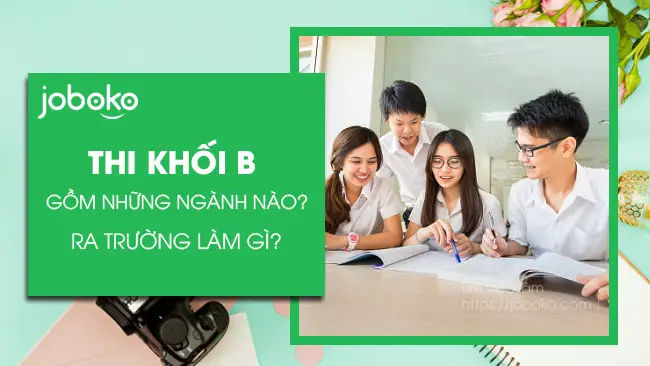 Khối D Tổng quan về các ngành học