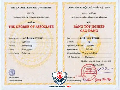 Kinh Nghiệm Mua Bằng Cao Đẳng: Bí Mật Nhà Tuyển Dụng Không Muốn Bạn Biết