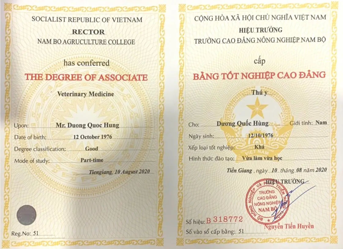 Làm Bằng Cao Đẳng Giả Uy Tín, Giá Rẻ - Giải Pháp Nhanh Chóng Cho Nhu Cầu Việc Làm