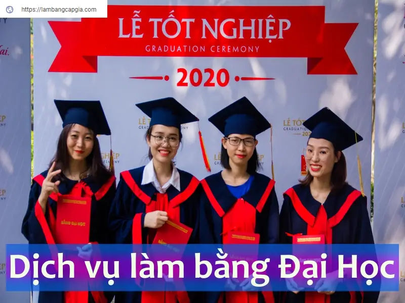 Làm Bằng Đại Học Nắm Bắt Cơ Hội Thăng Tiến Với Bằng Cấp Chính Thức