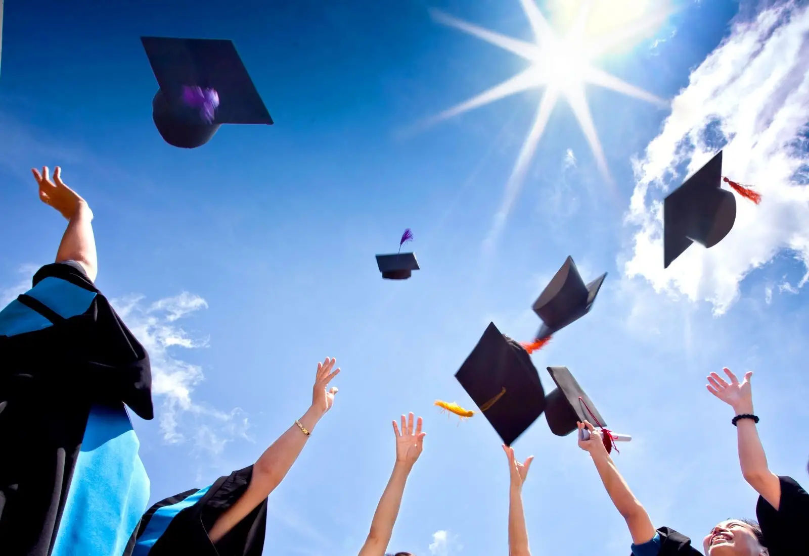 Làm bằng Đại học Nông Lâm TPHCM uy tín, giá rẻ, thật 100%