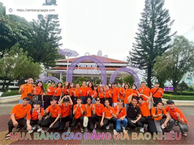 Làm Bằng Giả Cao Đẳng Uy Tín, Giá Rẻ Có Hồ Sơ Gốc