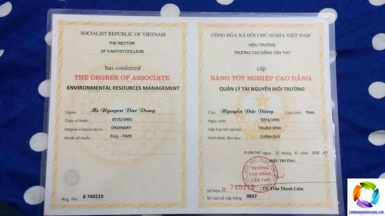 Làm Bằng Thật - Nâng Cao Cơ Hội Thăng Tiến Trong Công Việc