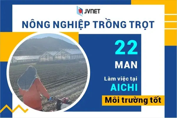 Làm Lại Bằng Tốt Nghiệp Cấp 2 Quy Trình, Thời Gian Và Chi Phí