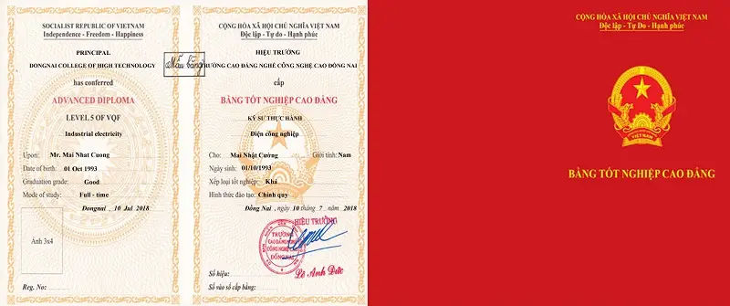 Mất bằng cao đẳng phải làm sao? Hướng dẫn khắc phục