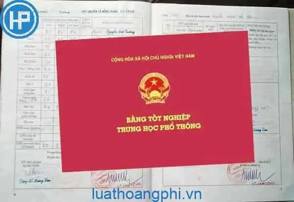 Mất bằng tốt nghiệp cấp 3  học bạ - Cách xử lý hiệu quả