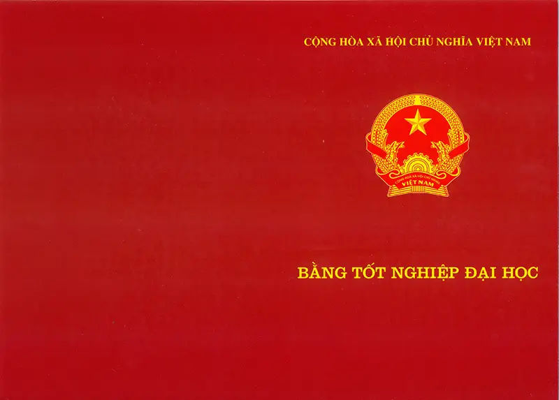 Mất Bằng Tốt Nghiệp - Quy Trình Cấp Lại Và Những Lưu Ý Cần Biết