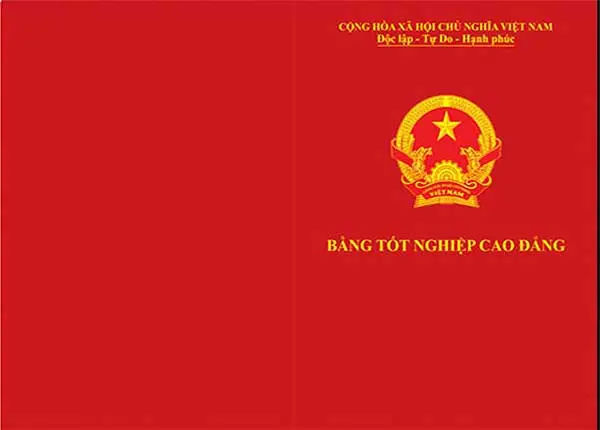 Mất Bằng Tốt Nghiệp - Quy Trình Cấp Lại Và Những Lưu Ý Cần Biết