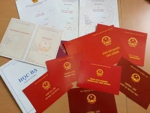 Mất Học Bạ Cấp 3 - Cách Làm Lại Đơn Giản Nhanh Chóng