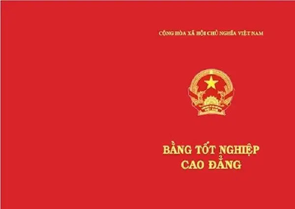 Mua Bằng Cao Đẳng Có Sao Không? Sự Thật Ẩn Sau Con Số