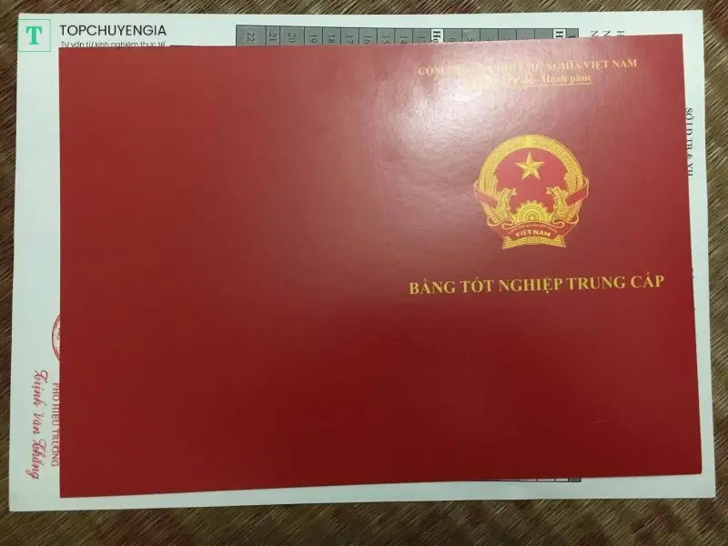 Nên Học Nghề Gì Khi Không Có Bằng Cấp 3? Hướng Dẫn Chọn Lựa Chuyên Nghiệp