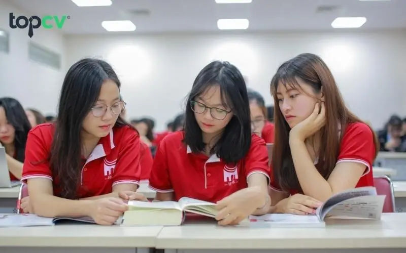 Ngành Marketing Khối C: Con đường sự nghiệp đầy tiềm năng