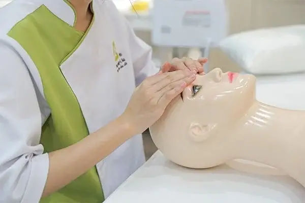 Ngành Nghề Không Cần Bằng Đại Học Cơ Hội Nghiệp Vụ Hấp Dẫn