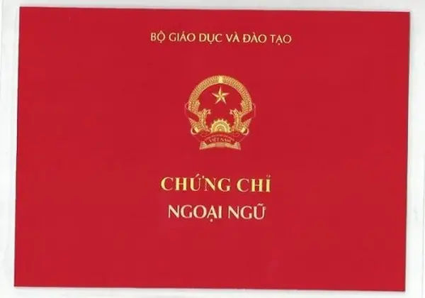 Tại Sao Nên Chọn Học Chứng Chỉ Anh Văn Giao Tiếp?