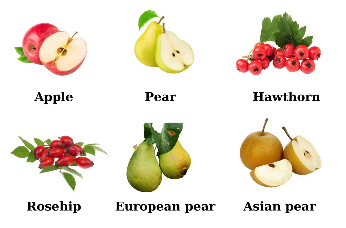 Tin học văn phòng tiếng Anh là gì?