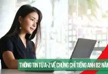 Tin học văn phòng tiếng Anh là gì?