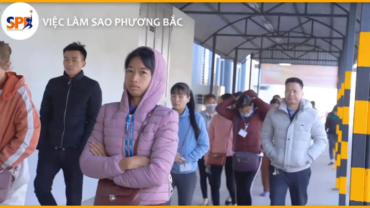 Trình độ học vấn ghi đại học hay 12/12