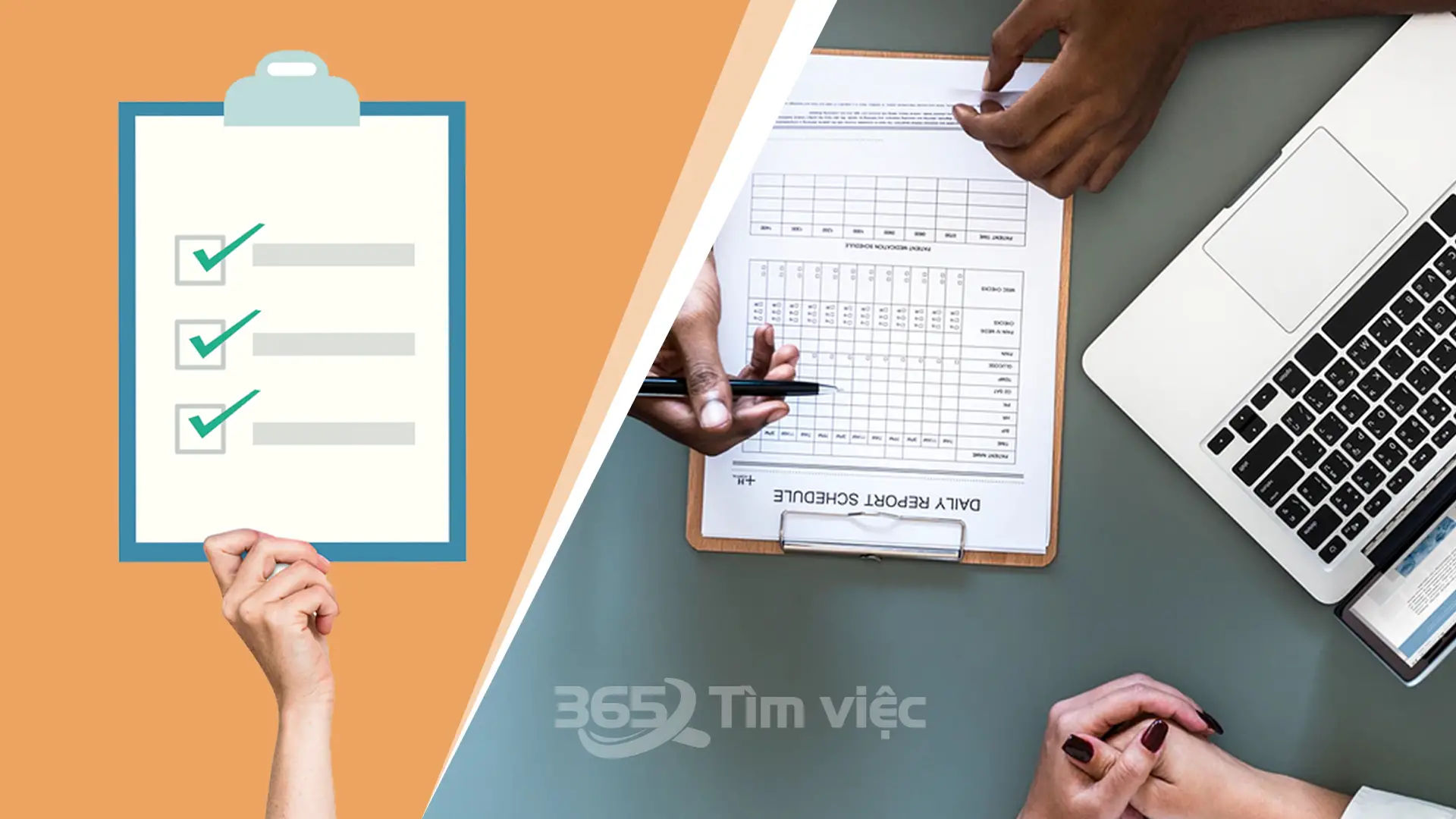 Trình độ văn hóa 12/12 hay đại học