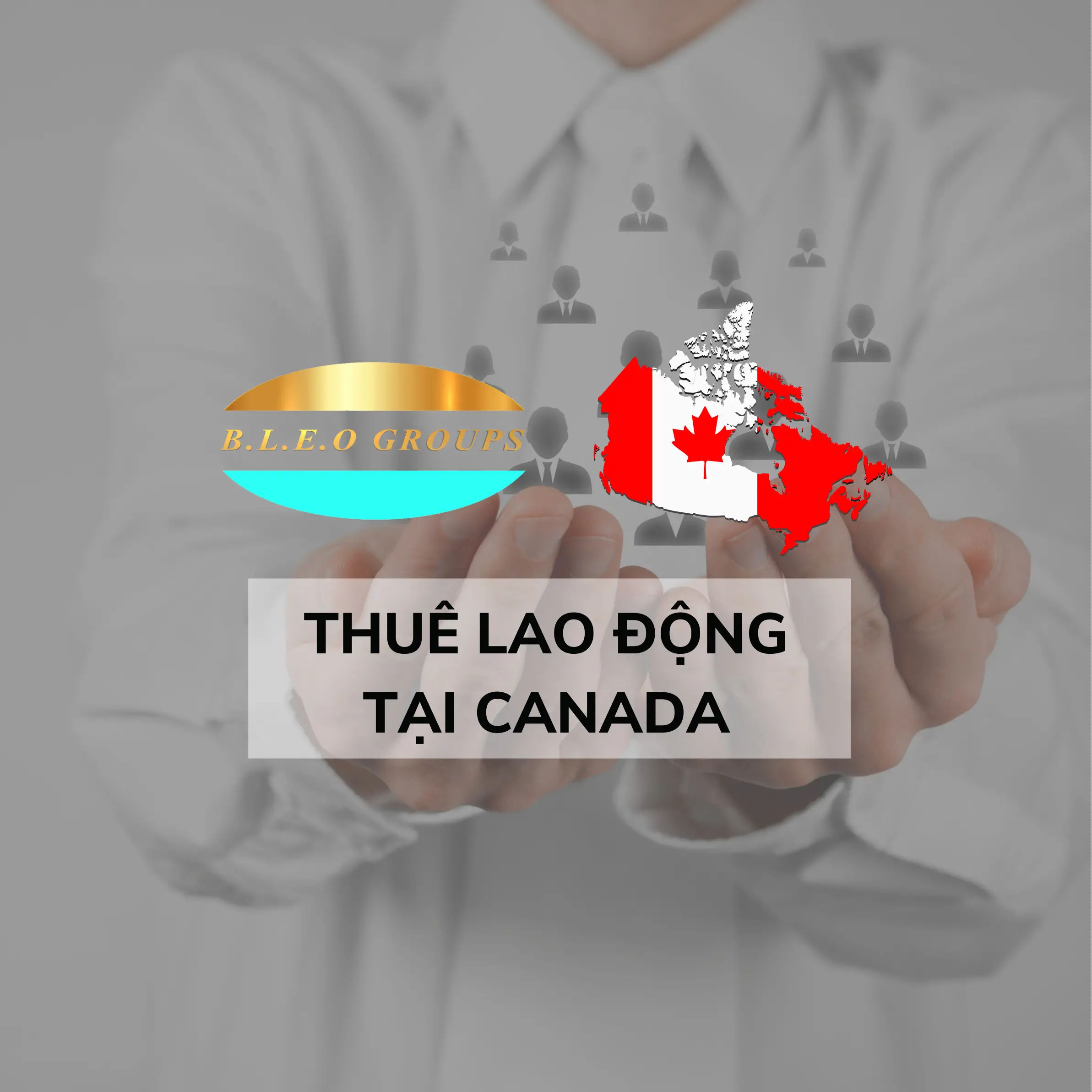 Xu hướng Xuất khẩu Lao động Canada Cơ hội và Thách thức